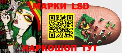дмт Будённовск