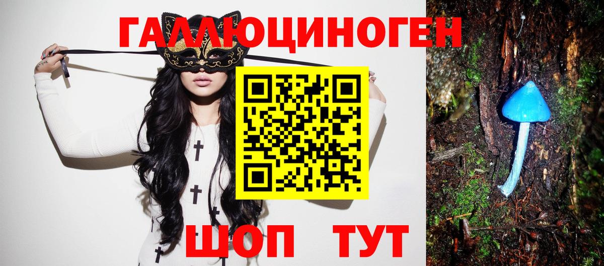 Псилоцибиновые грибы ЛСД Приморско-Ахтарск