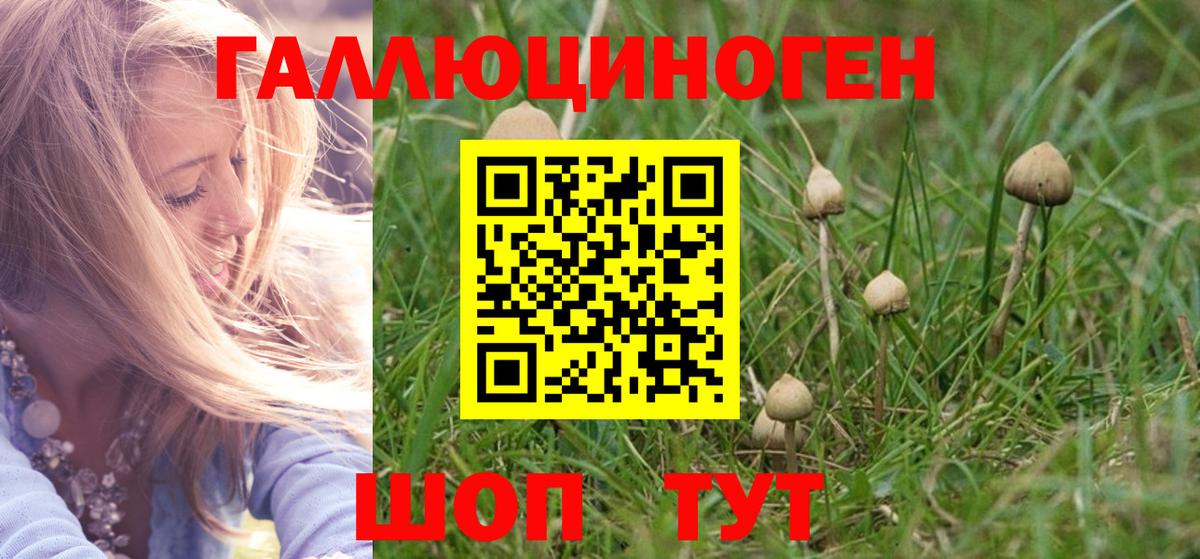 Приморско-Ахтарск  Галлюциногенные грибы ЛСД  Вход с VPN  даркнет сайт  Галлюциногенные грибы MAGIC MUSHROOMS 